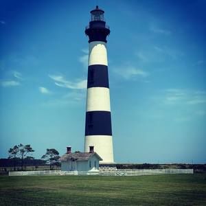 Meet your Posher, Bobbie